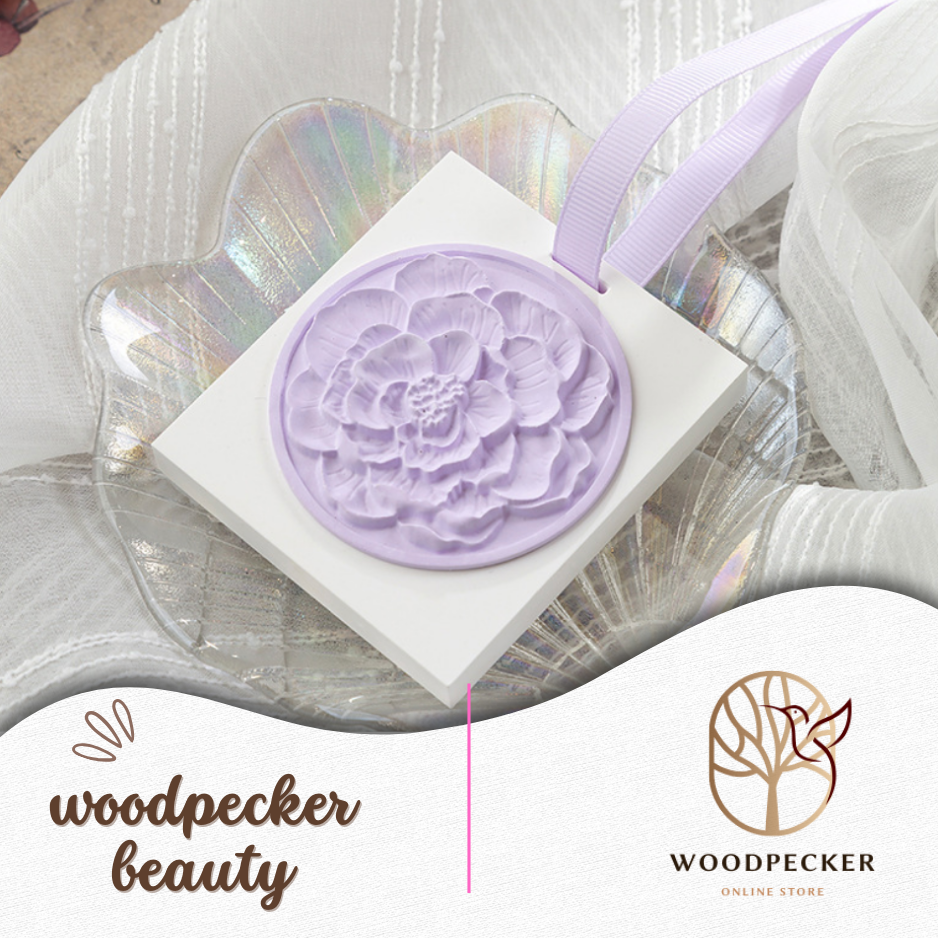 Hanging Scented Ceramic for Drawers and Closets Fresh Scents Car Air Freshener Woodpecker Beauty